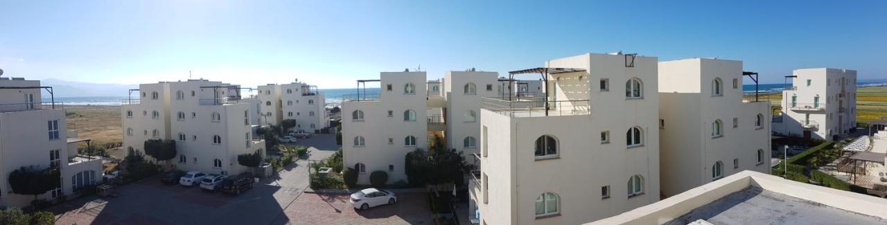 Aphrodite Beachfront Penthouse Apartment Ghaziveran Esterno foto