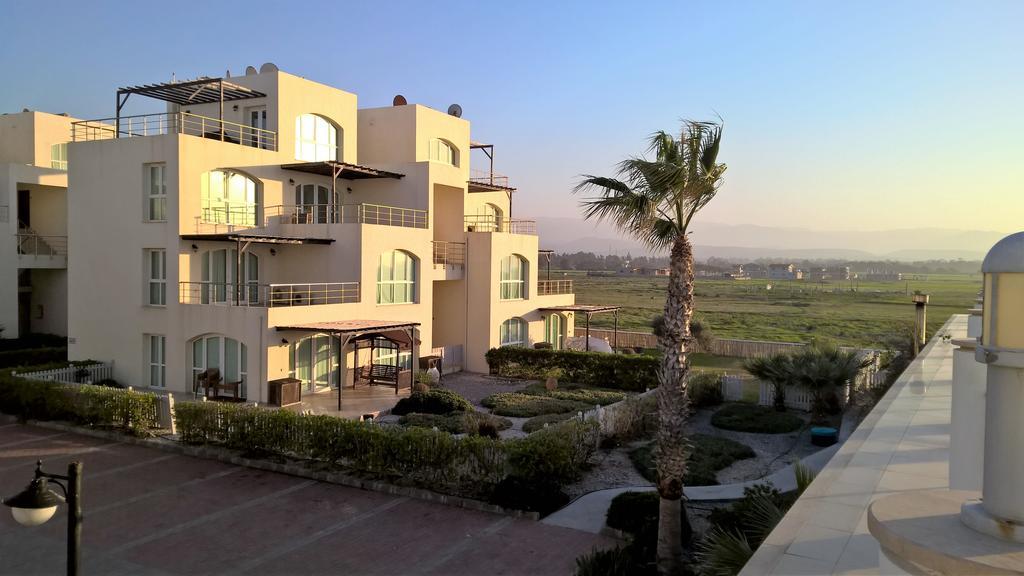 Aphrodite Beachfront Penthouse Apartment Ghaziveran Esterno foto