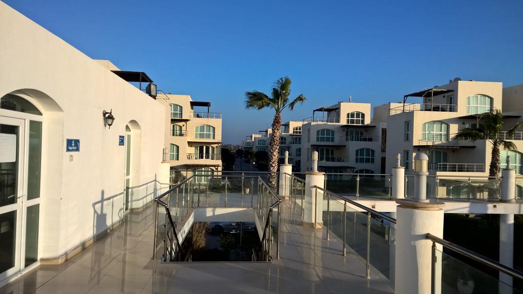 Aphrodite Beachfront Penthouse Apartment Ghaziveran Esterno foto