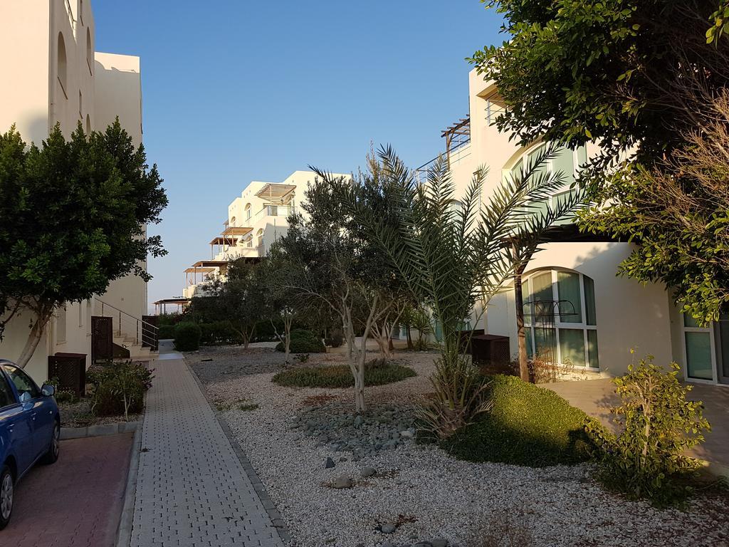 Aphrodite Beachfront Penthouse Apartment Ghaziveran Esterno foto